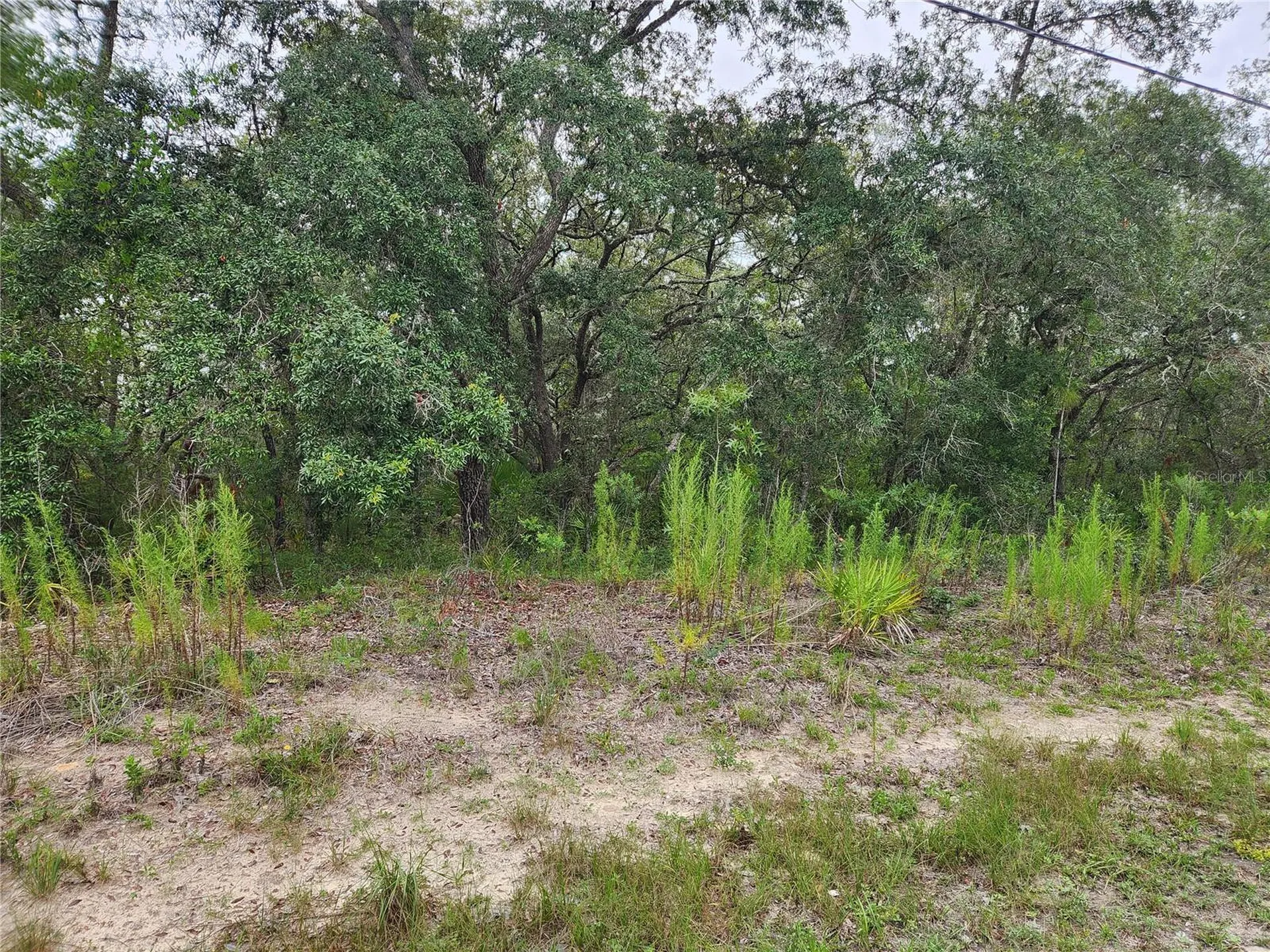 18364 Parakeet Road Brooksville FL 34614
