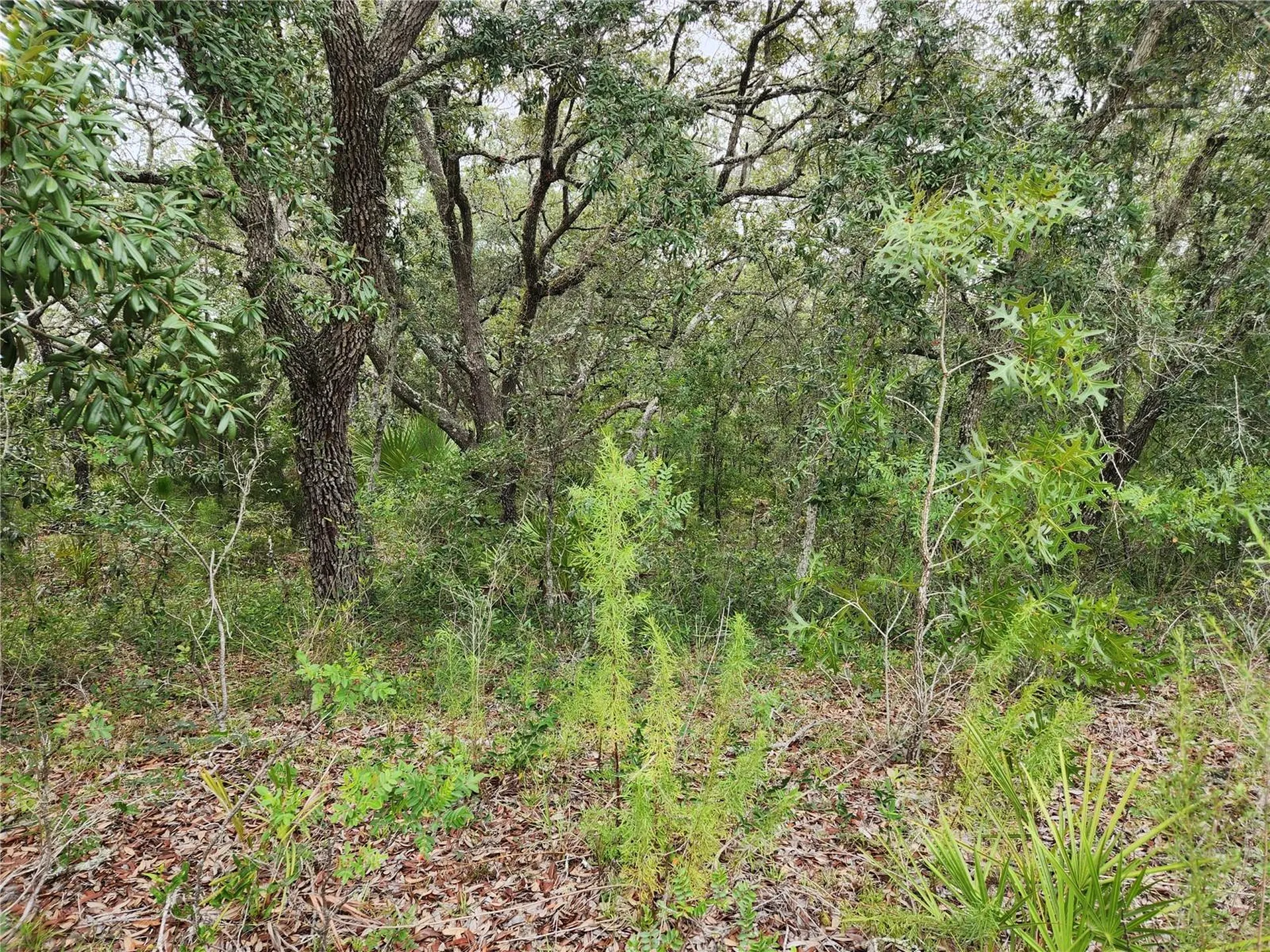 18364 Parakeet Road Brooksville FL 34614