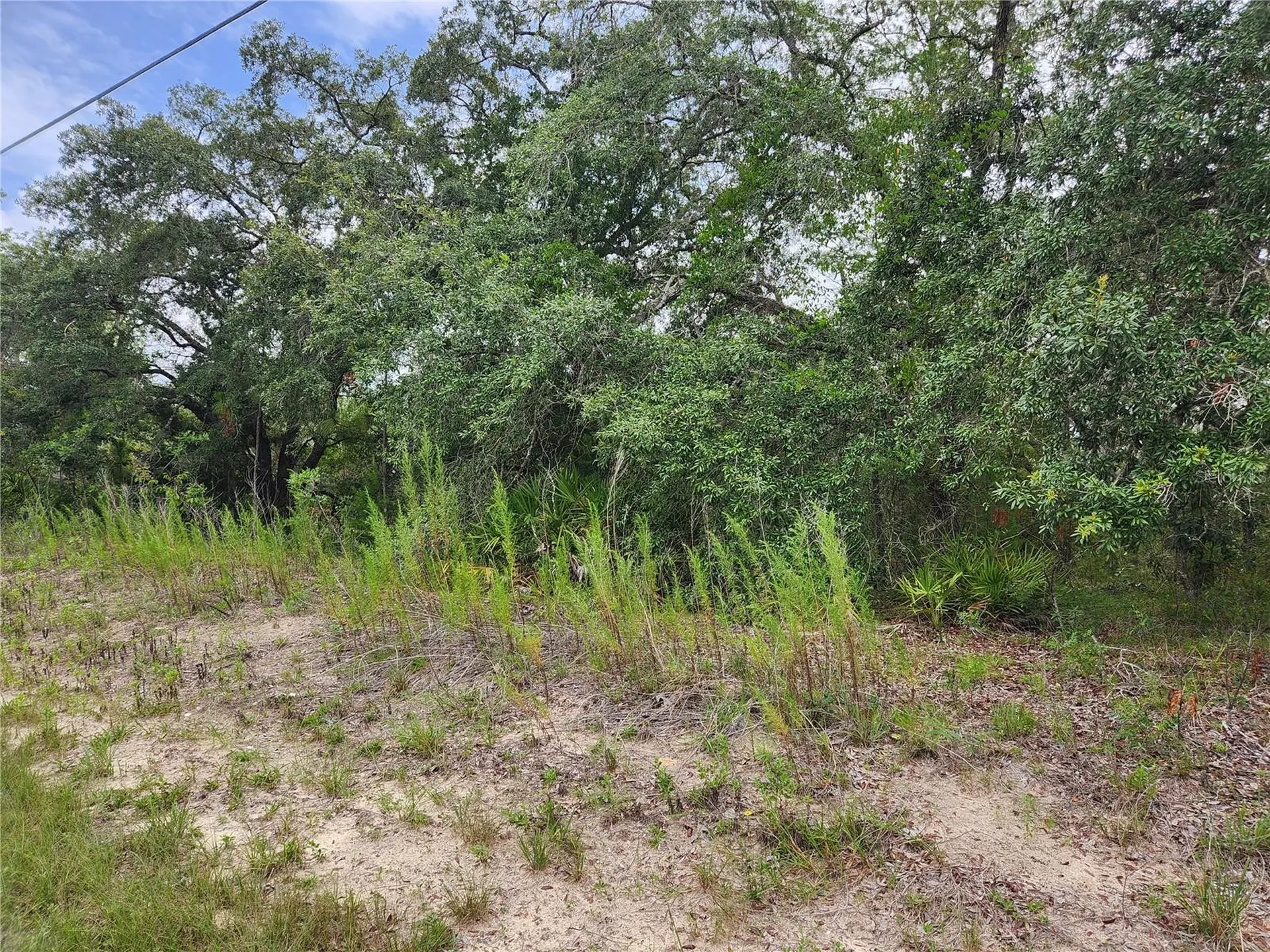 18364 Parakeet Road Brooksville FL 34614
