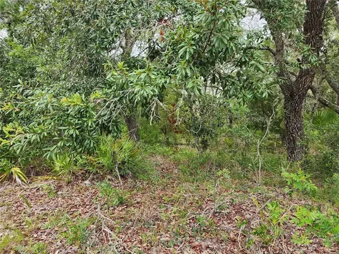 18364 Parakeet Road Brooksville FL 34614
