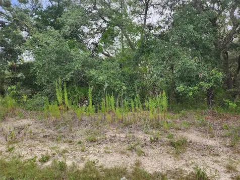 18364 Parakeet Road Brooksville FL 34614