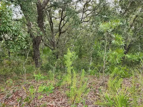 18364 Parakeet Road Brooksville FL 34614