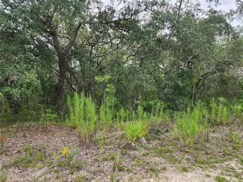 18364 Parakeet Road Brooksville FL 34614