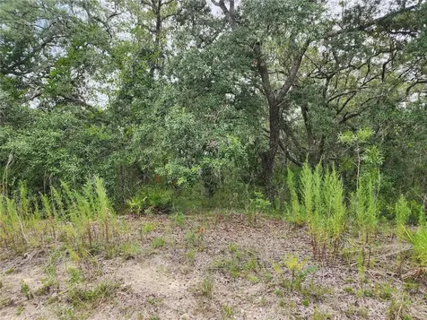 18364 Parakeet Road Brooksville FL 34614