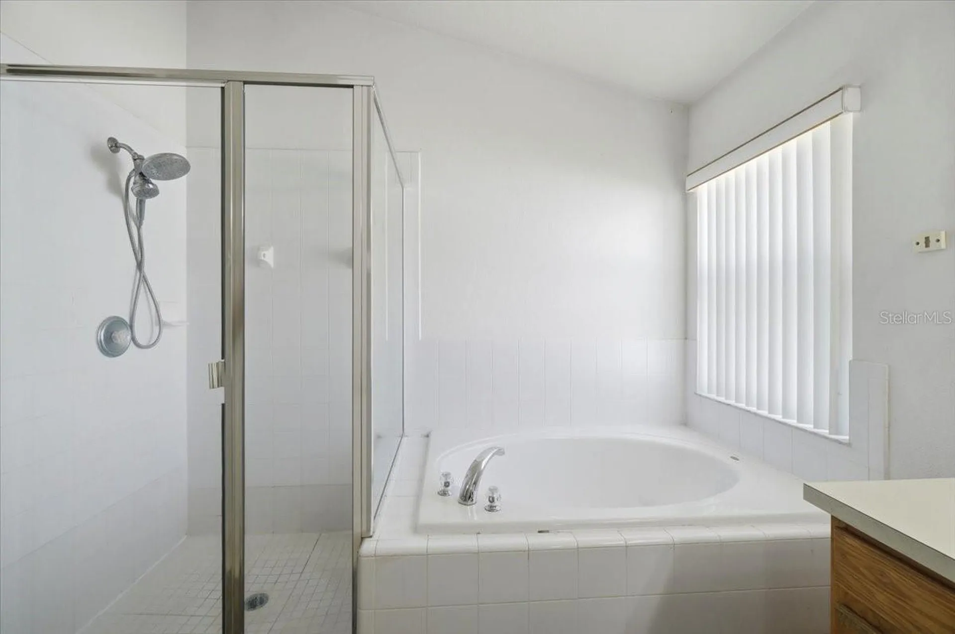 236 Somerset Drive Davenport FL 33897