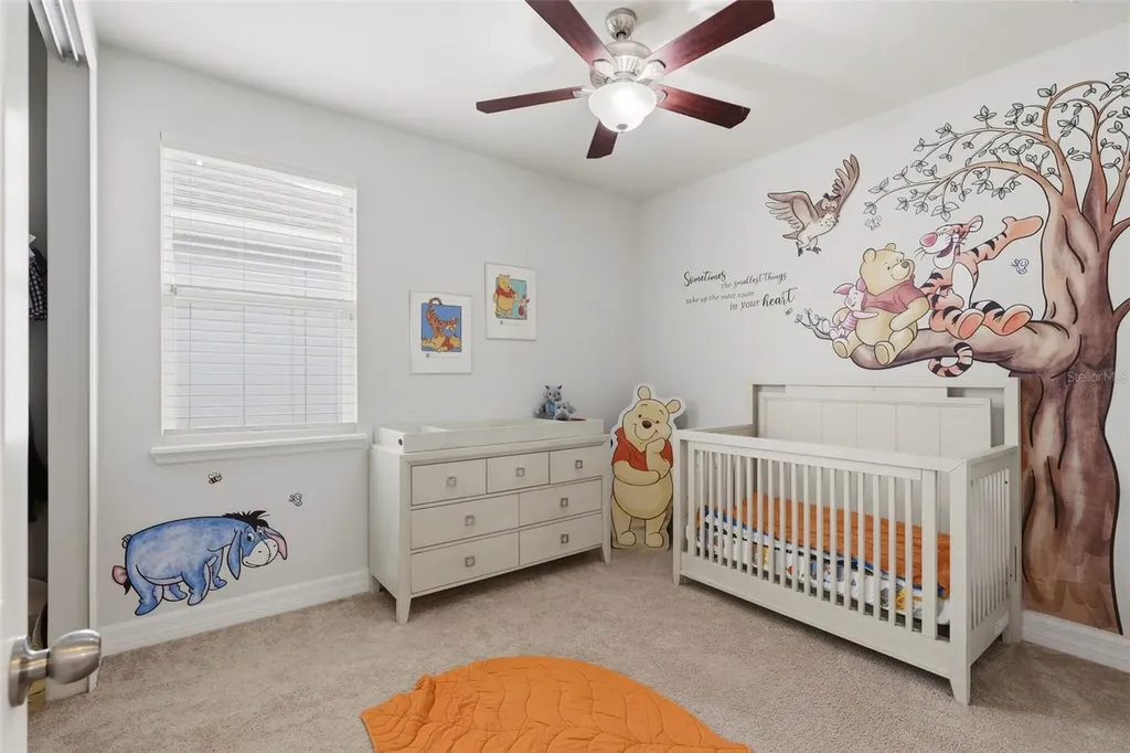 2599 Nouveau Way Kissimmee FL 34741