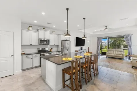 13840 Old Creek Court Parrish FL 34219