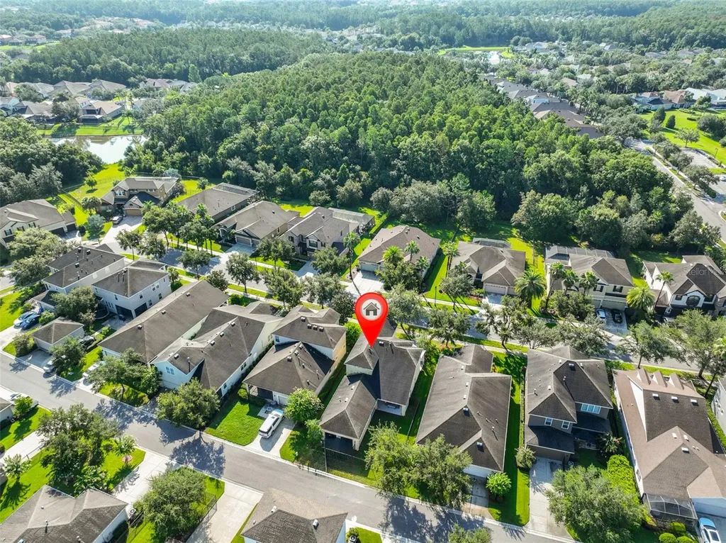 7912 Hampton Lake Drive Tampa FL 33647
