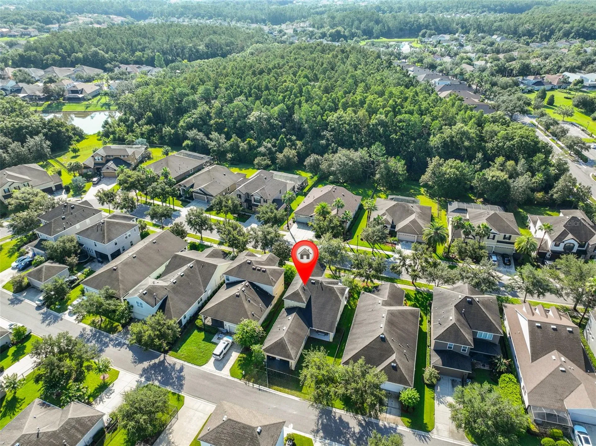 7912 Hampton Lake Drive Tampa FL 33647