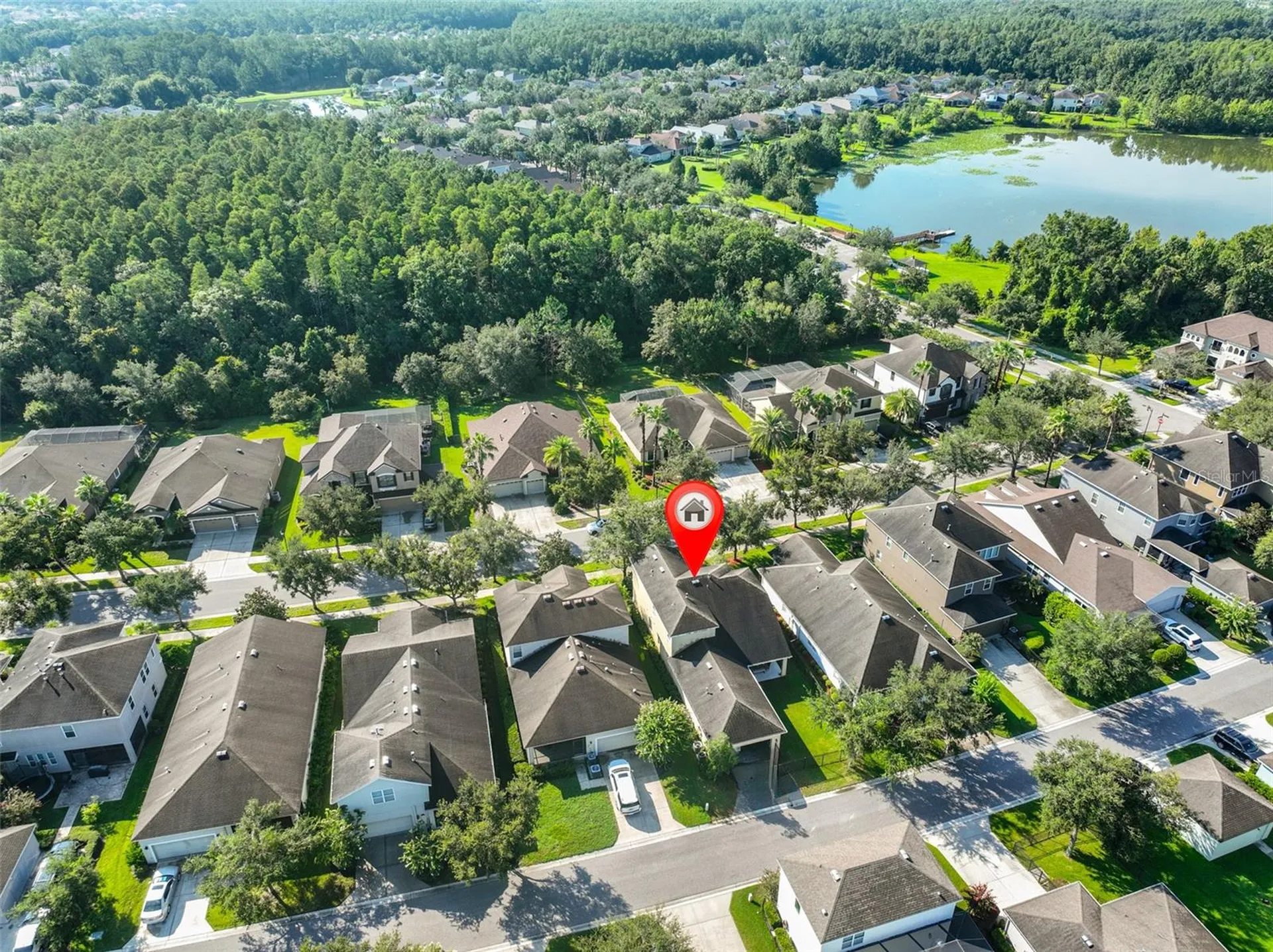 7912 Hampton Lake Drive Tampa FL 33647