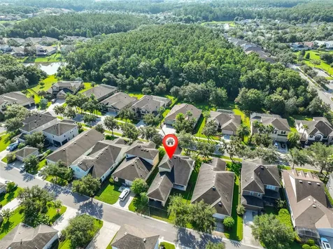 7912 Hampton Lake Drive Tampa FL 33647