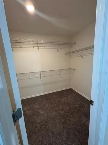1236 Water Willow Drive Groveland FL 34736