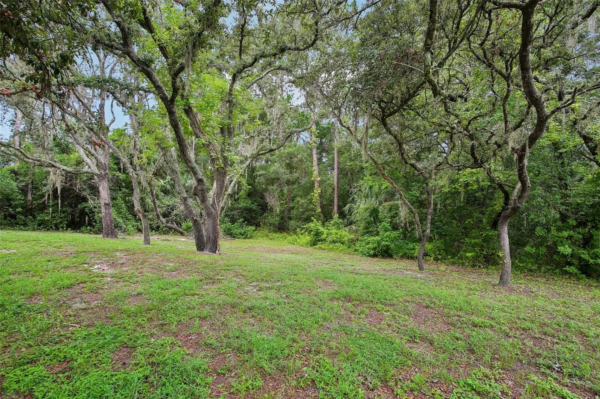 9224 Lakeview Drive New Port Richey FL 34654