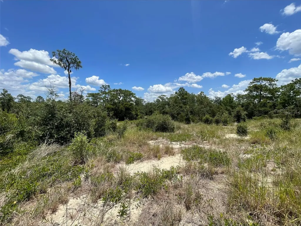 1340 Homosassa Court Kissimmee FL 34759
