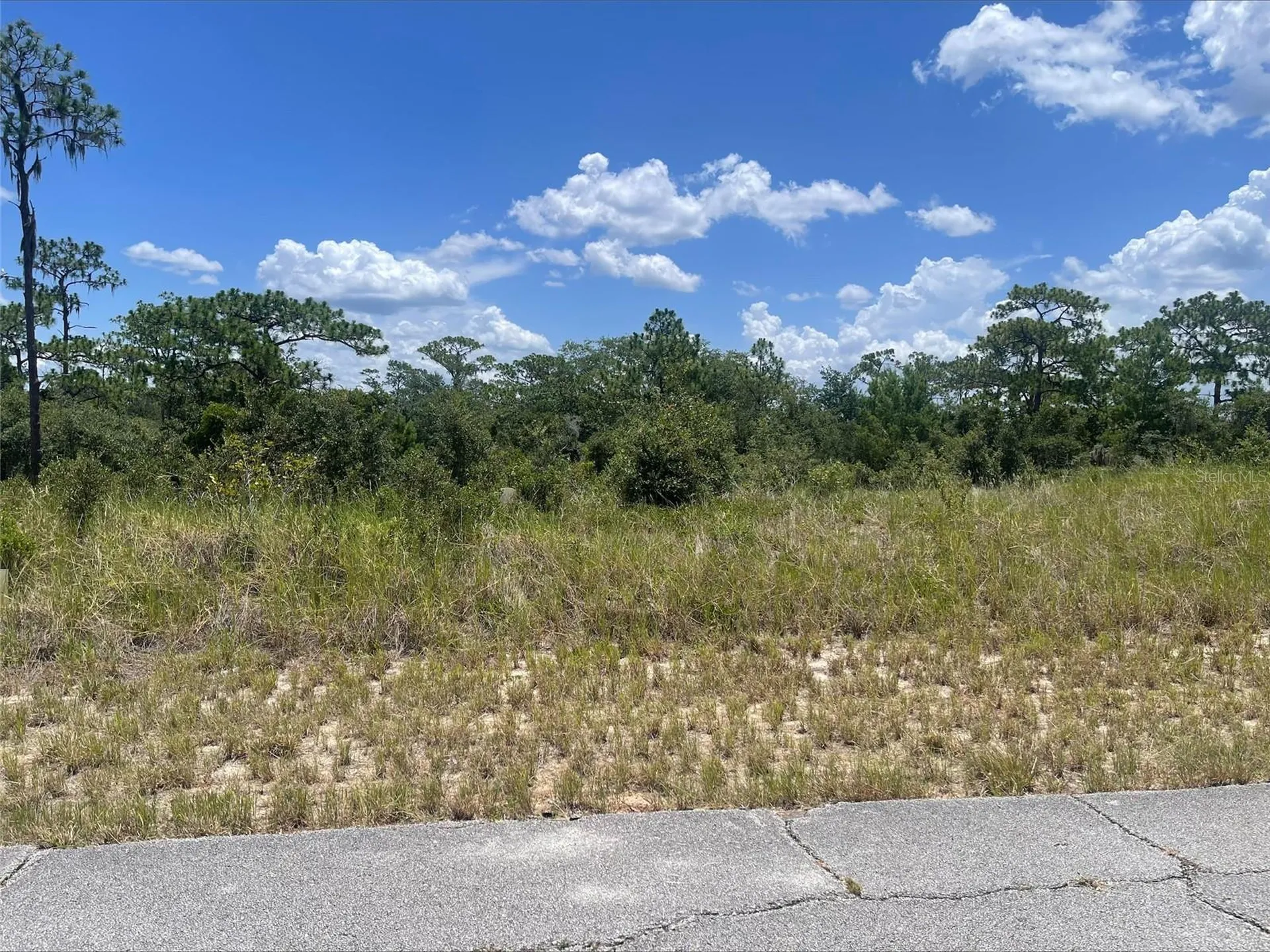 1340 Homosassa Court Kissimmee FL 34759