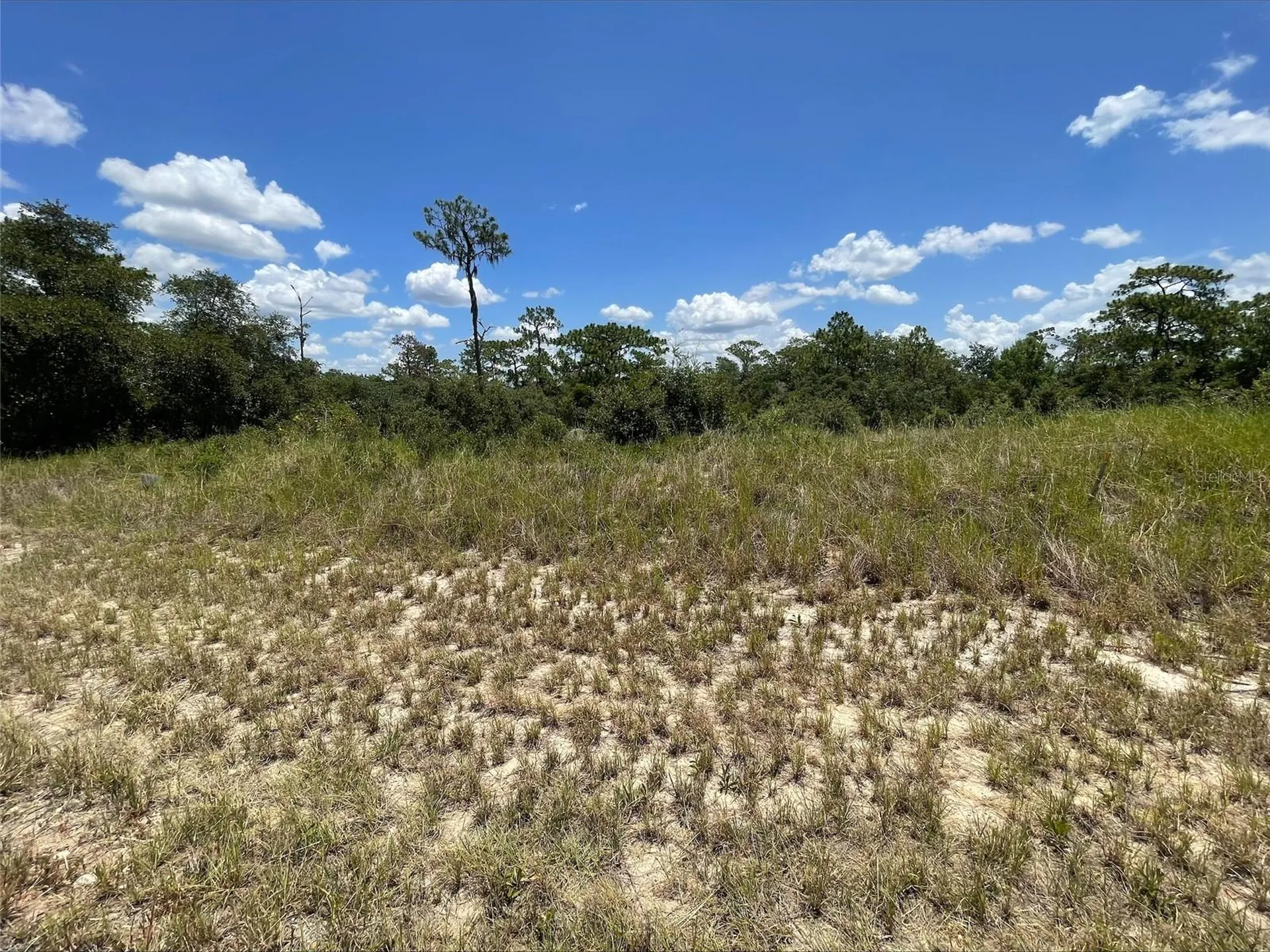 1340 Homosassa Court Kissimmee FL 34759
