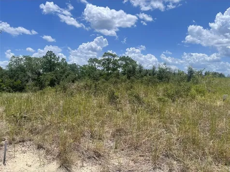1340 Homosassa Court Kissimmee FL 34759
