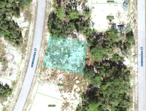 1340 Homosassa Court Kissimmee FL 34759
