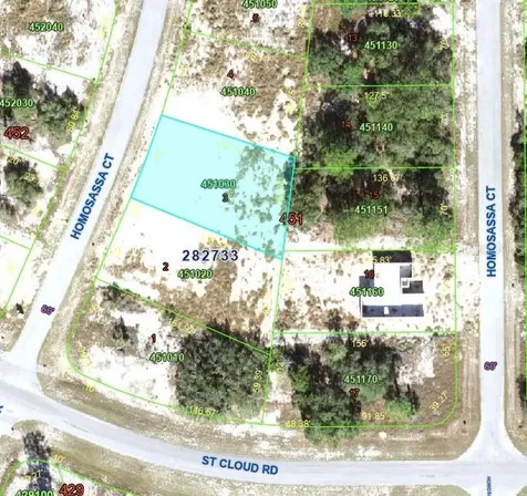 1344 Homosassa Court Poinciana FL 34759