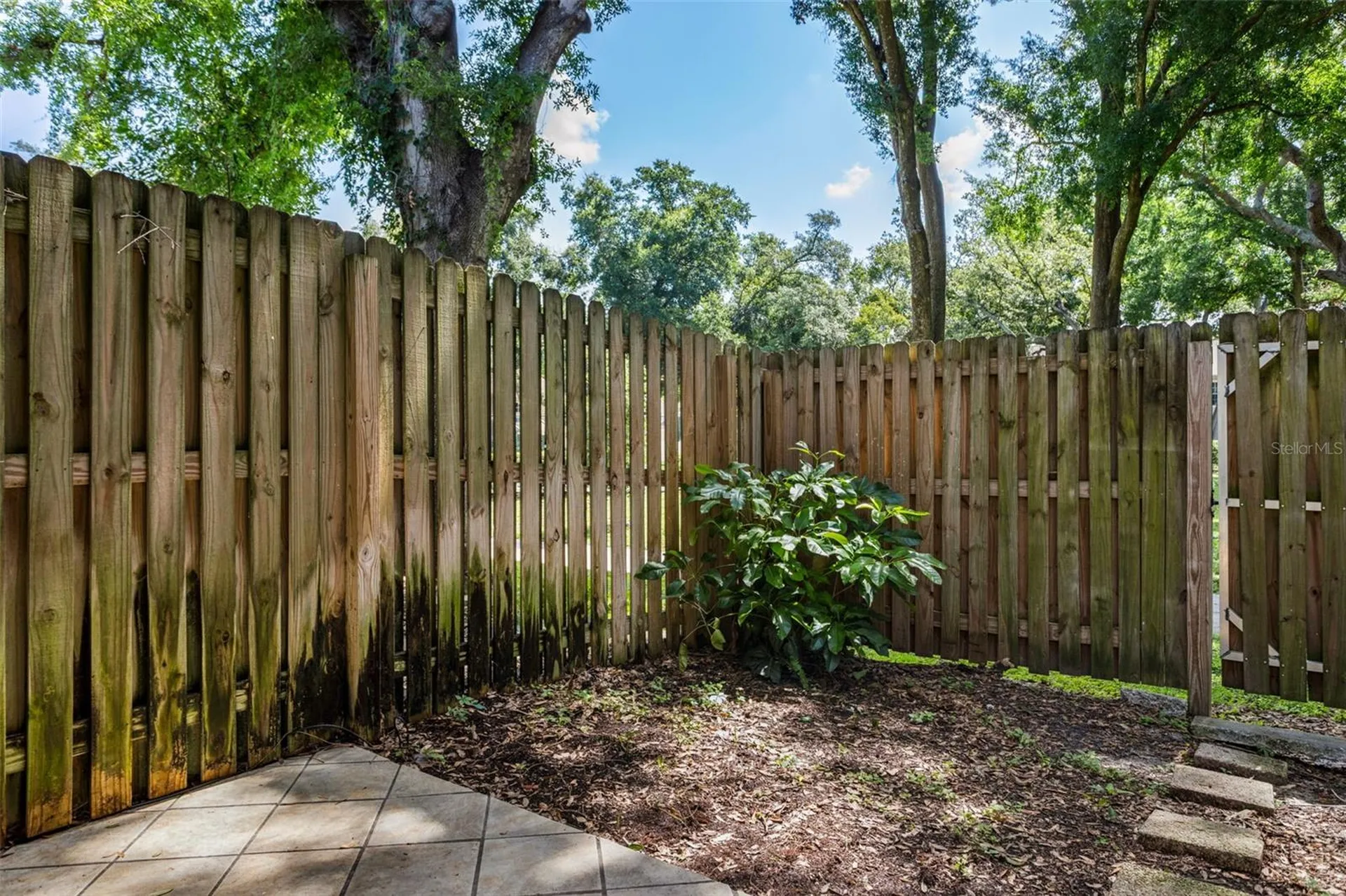 11325 Stratton Park Drive Tampa FL 33617