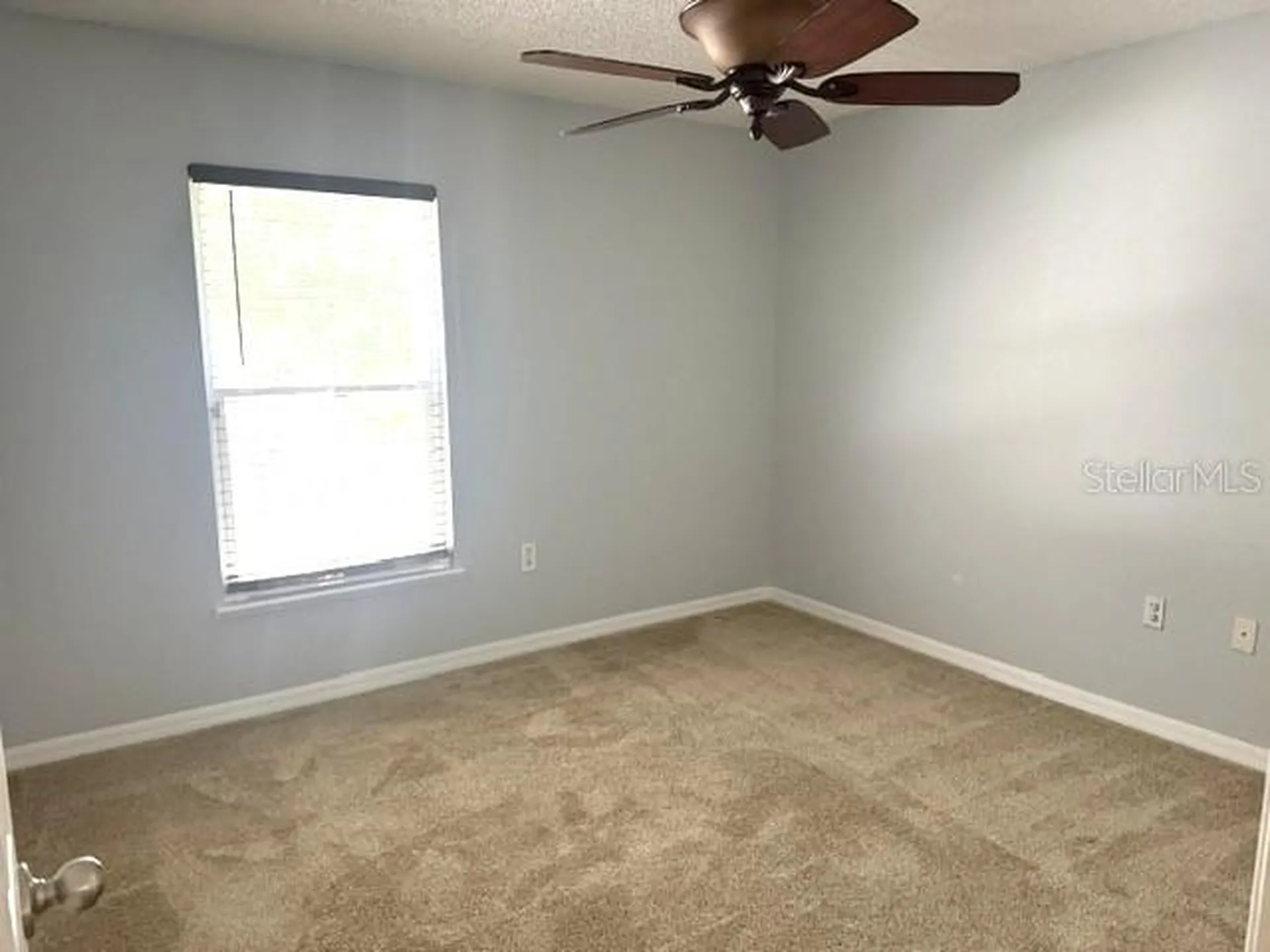 409 Yearling Cove Loop Apopka FL 32703