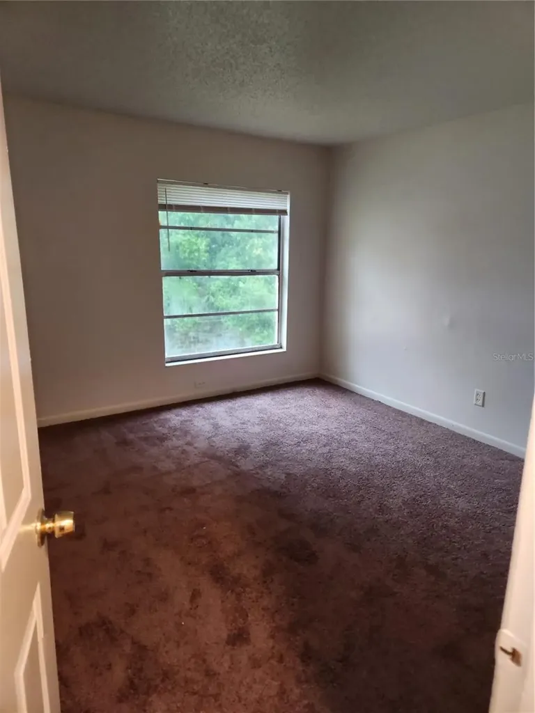 3920 E Jean Street Tampa FL 33610