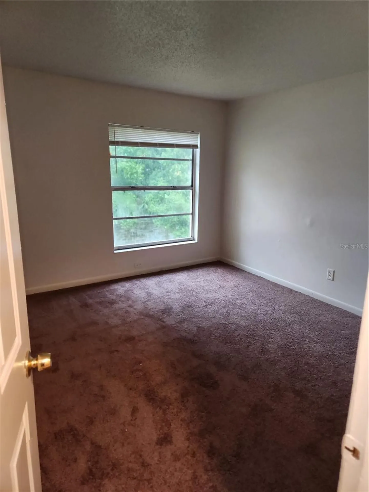 3920 E Jean Street Tampa FL 33610