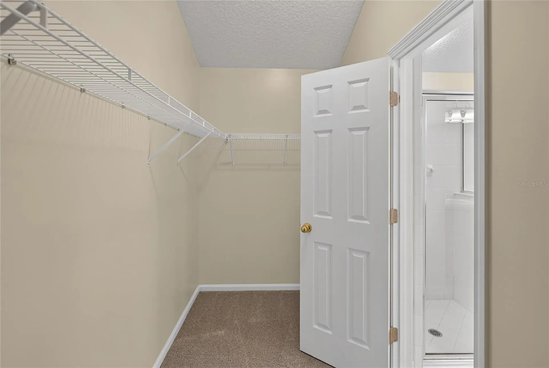 8123 NW 51st Drive Gainesville FL 32653