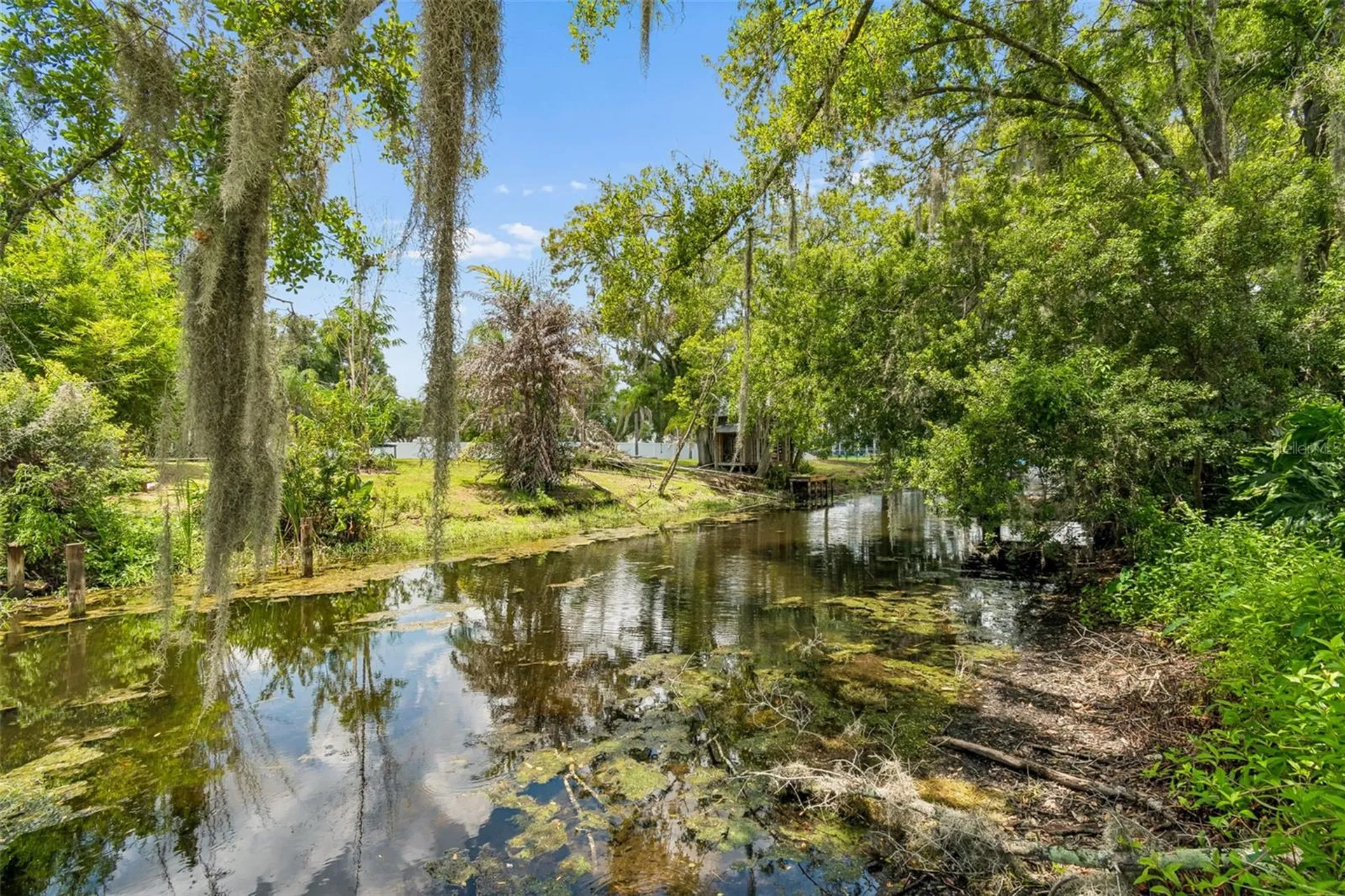 22408 Shoreside Drive Land O Lakes FL 34639