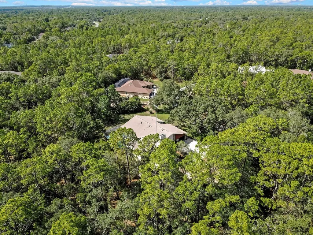 12 Mayflower Court E Homosassa FL 34446