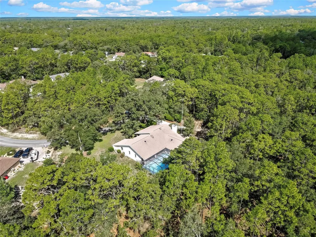 12 Mayflower Court E Homosassa FL 34446