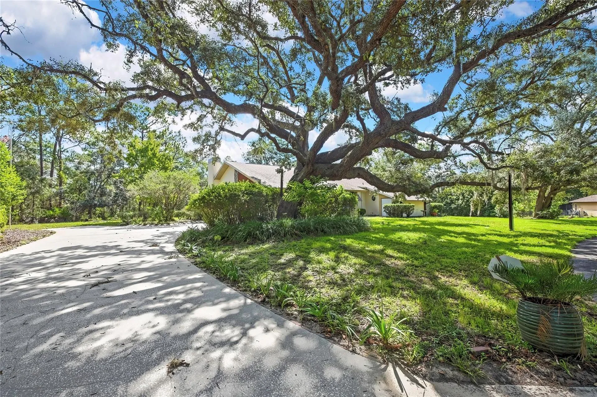 12 Mayflower Court E Homosassa FL 34446