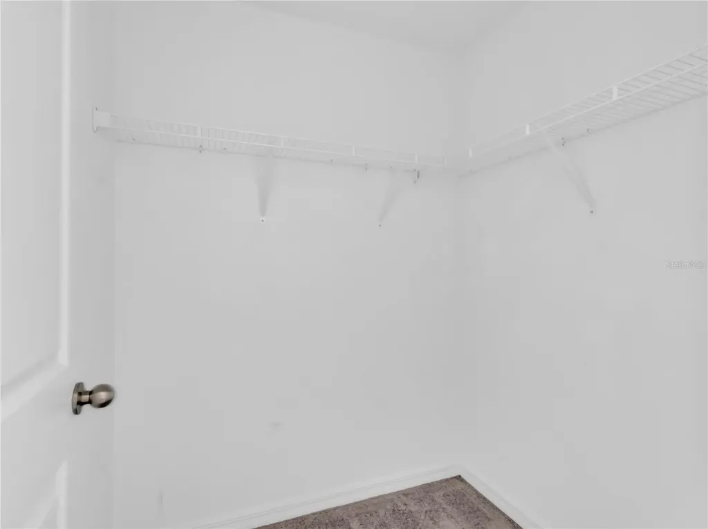 16568 Delia Street Wimauma FL 33598