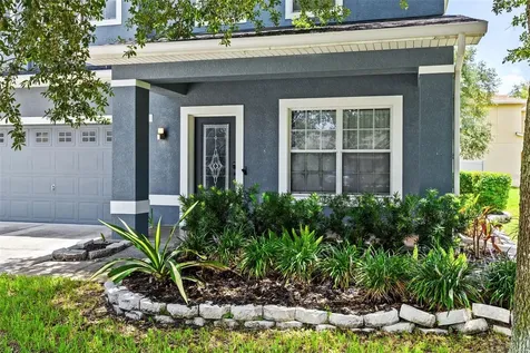 9530 Nathaniel Lane Land O Lakes FL 34638