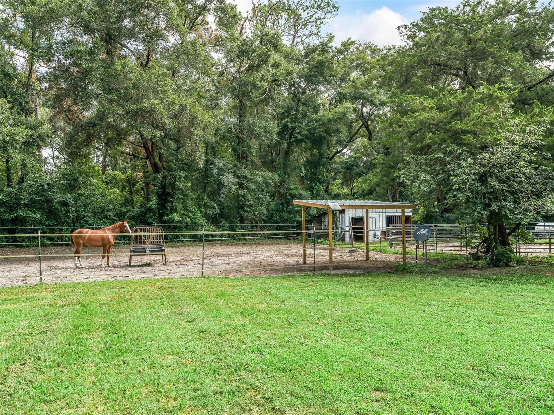 4603 NW 61st Lane Ocala FL 34482