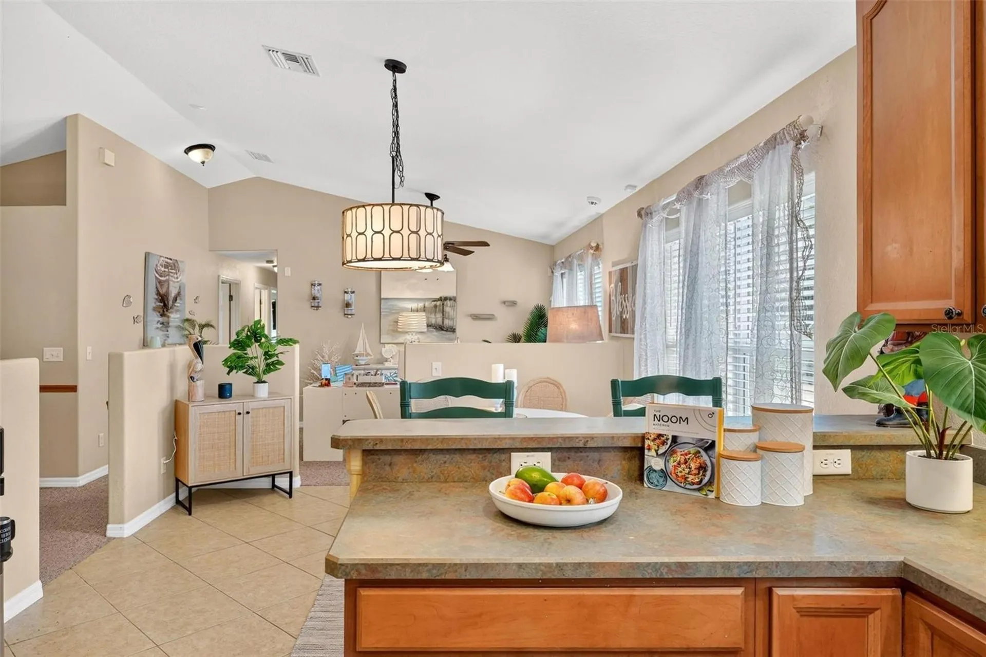 12854 NE 118th Terrace Ocklawaha FL 32179