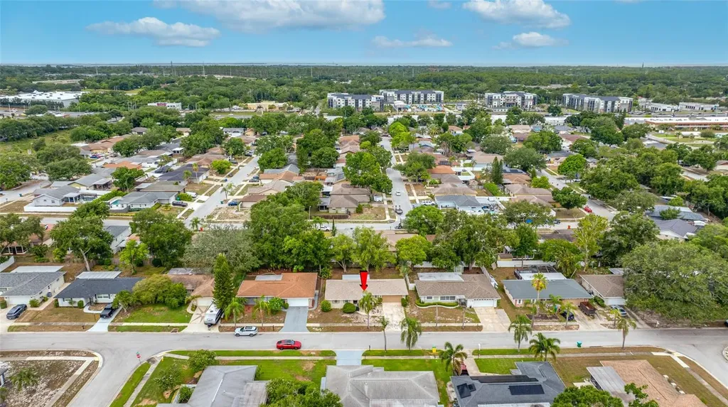 3259 Parkway Place Palm Harbor FL 34684