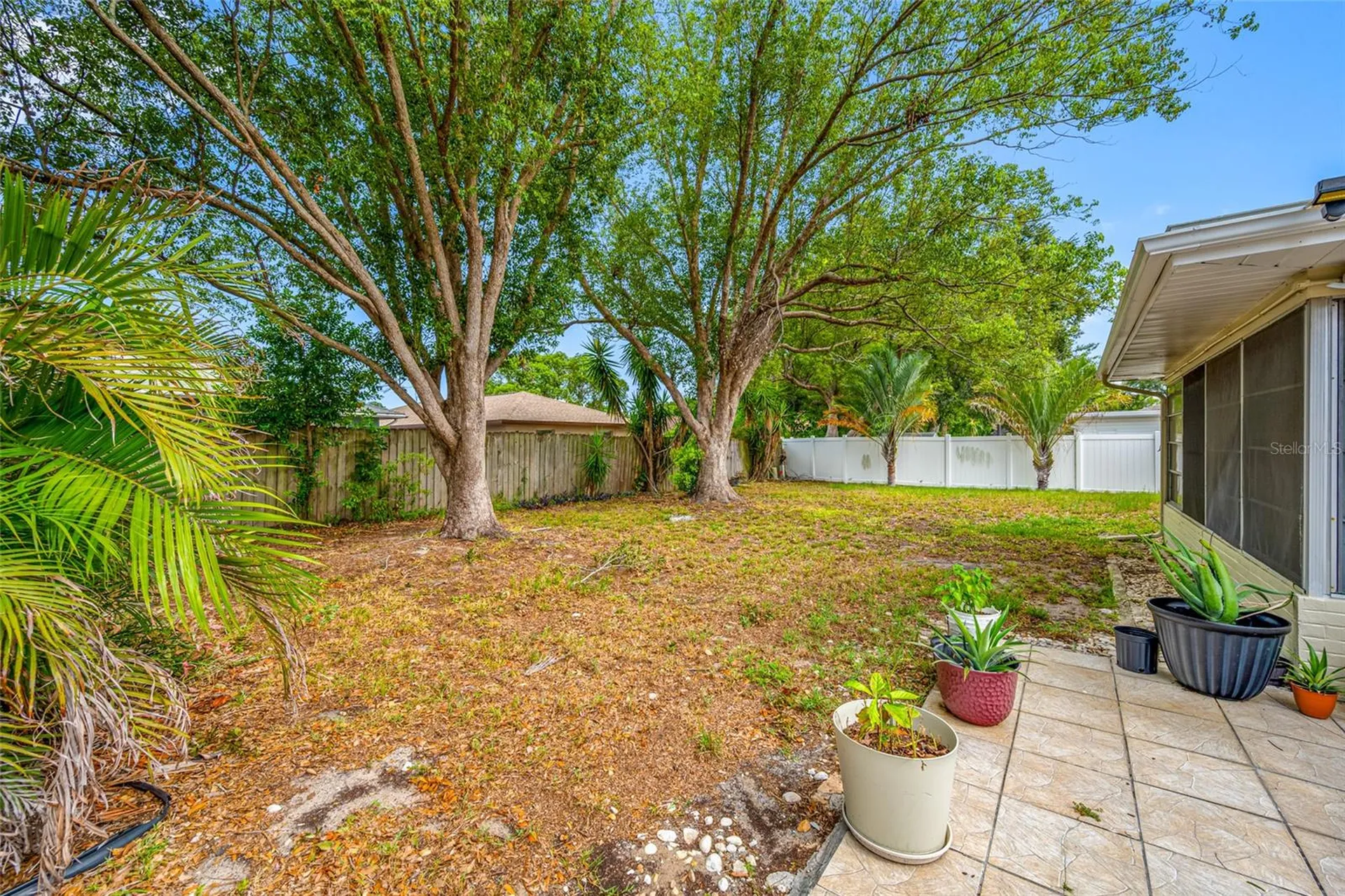 3259 Parkway Place Palm Harbor FL 34684