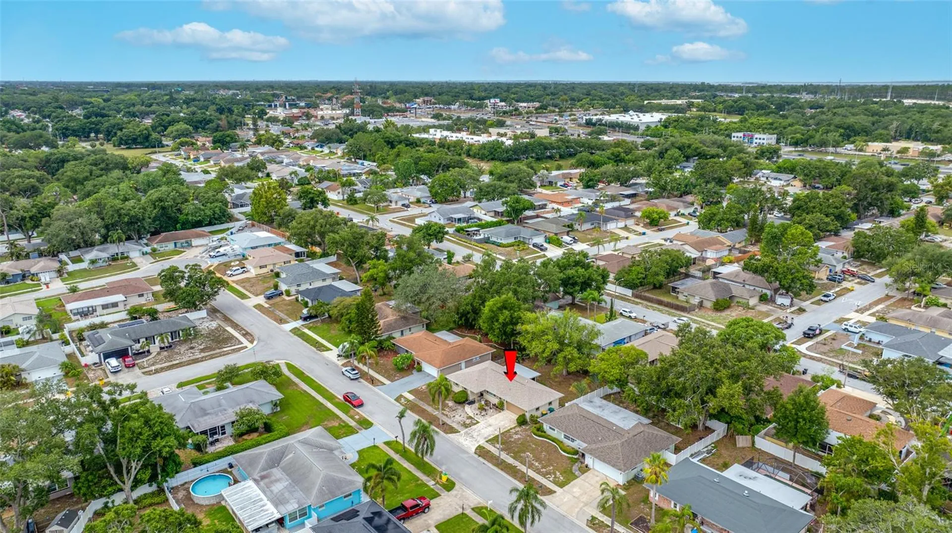 3259 Parkway Place Palm Harbor FL 34684