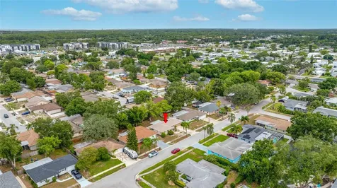 3259 Parkway Place Palm Harbor FL 34684