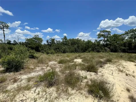 1342 Homosassa Court Poinciana FL 34759