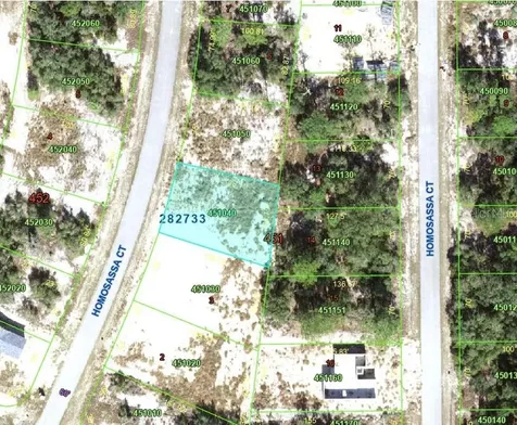 1342 Homosassa Court Poinciana FL 34759