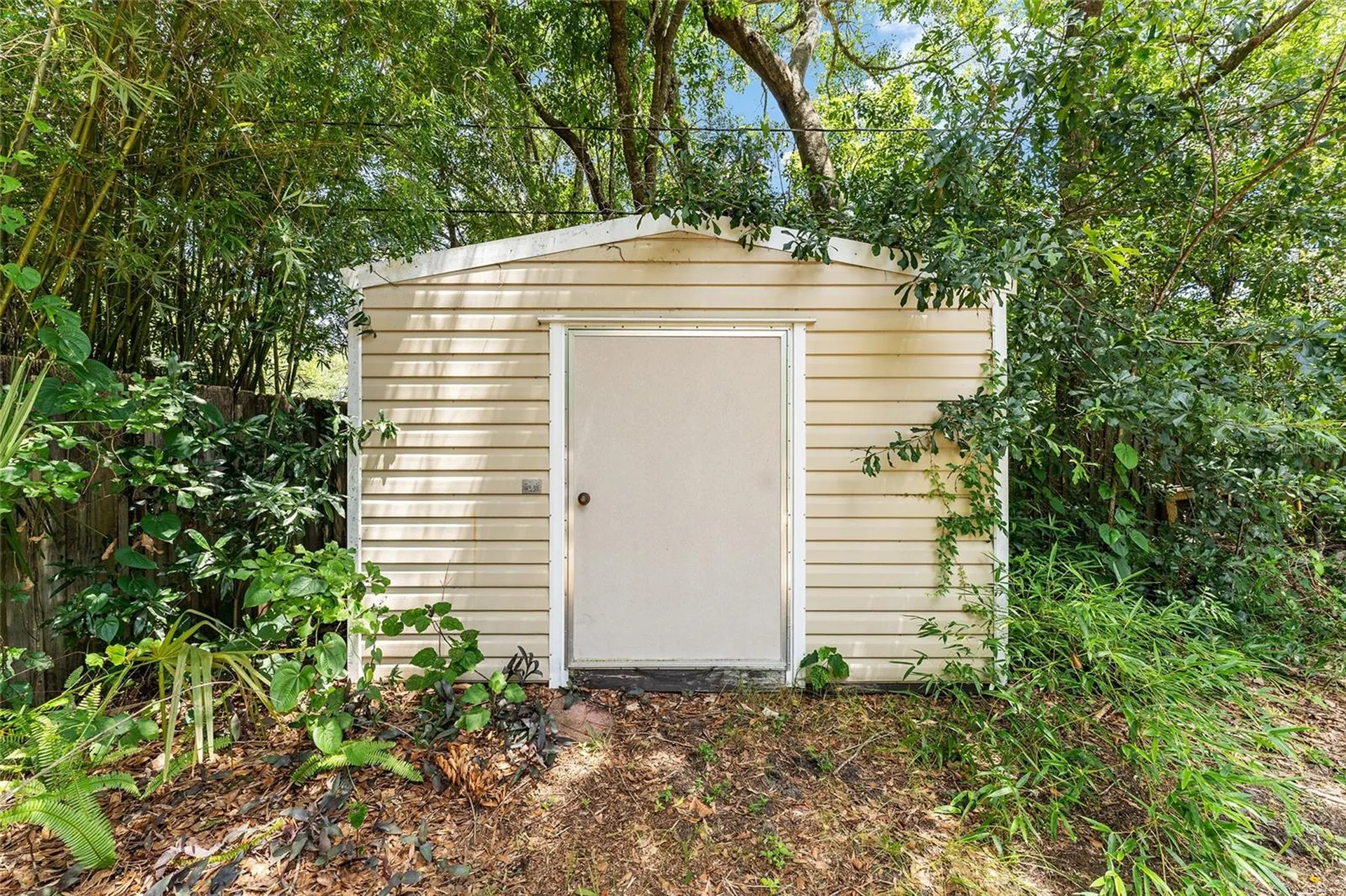 1038 NE 14th Avenue Gainesville FL 32601