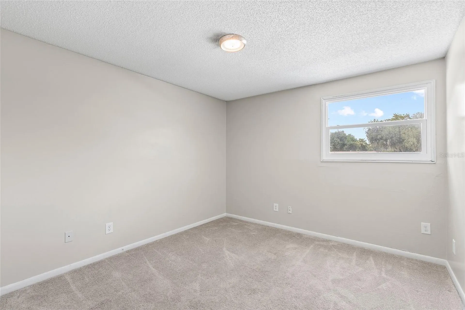 18200 Cypress Cove Lane Lutz FL 33549
