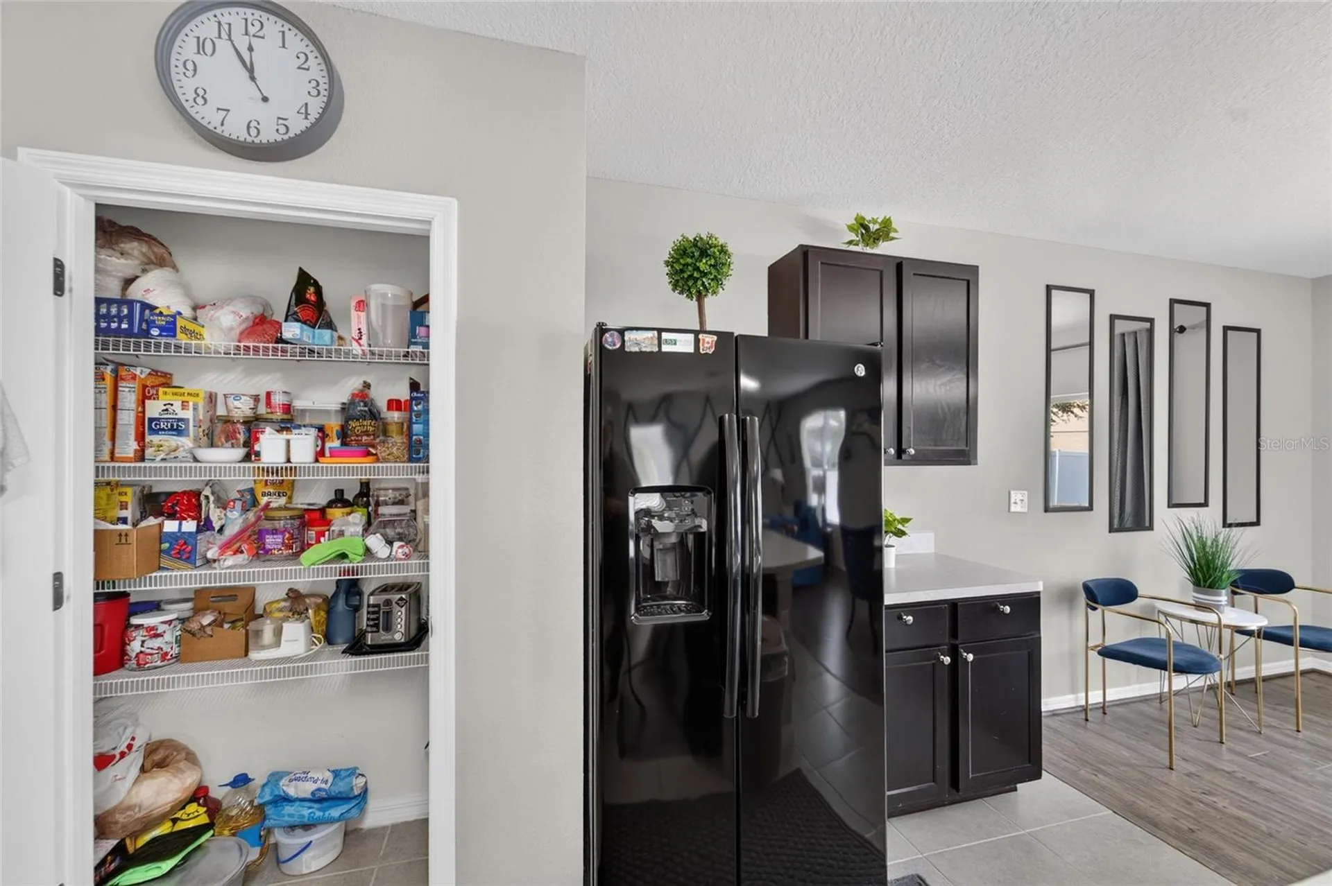 12111 Fawn Brindle Street Riverview FL 33578