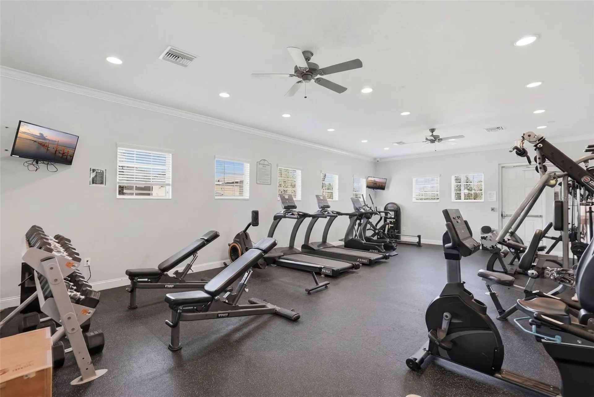 17204 Yellow Pine Street Wimauma FL 33598