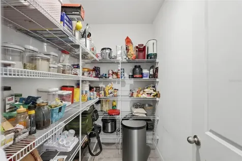17204 Yellow Pine Street Wimauma FL 33598