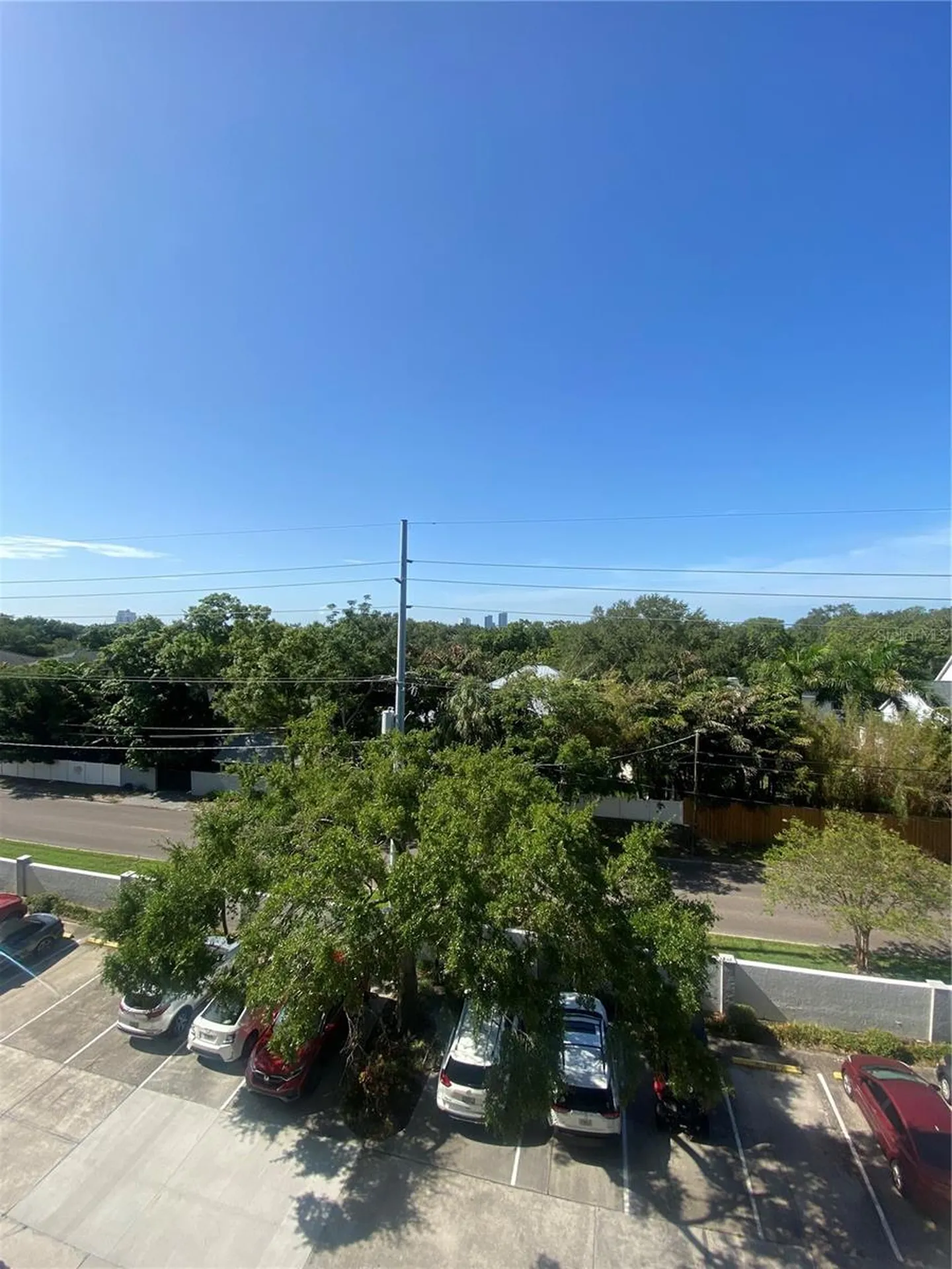 3211 W Swann Avenue Tampa FL 33609