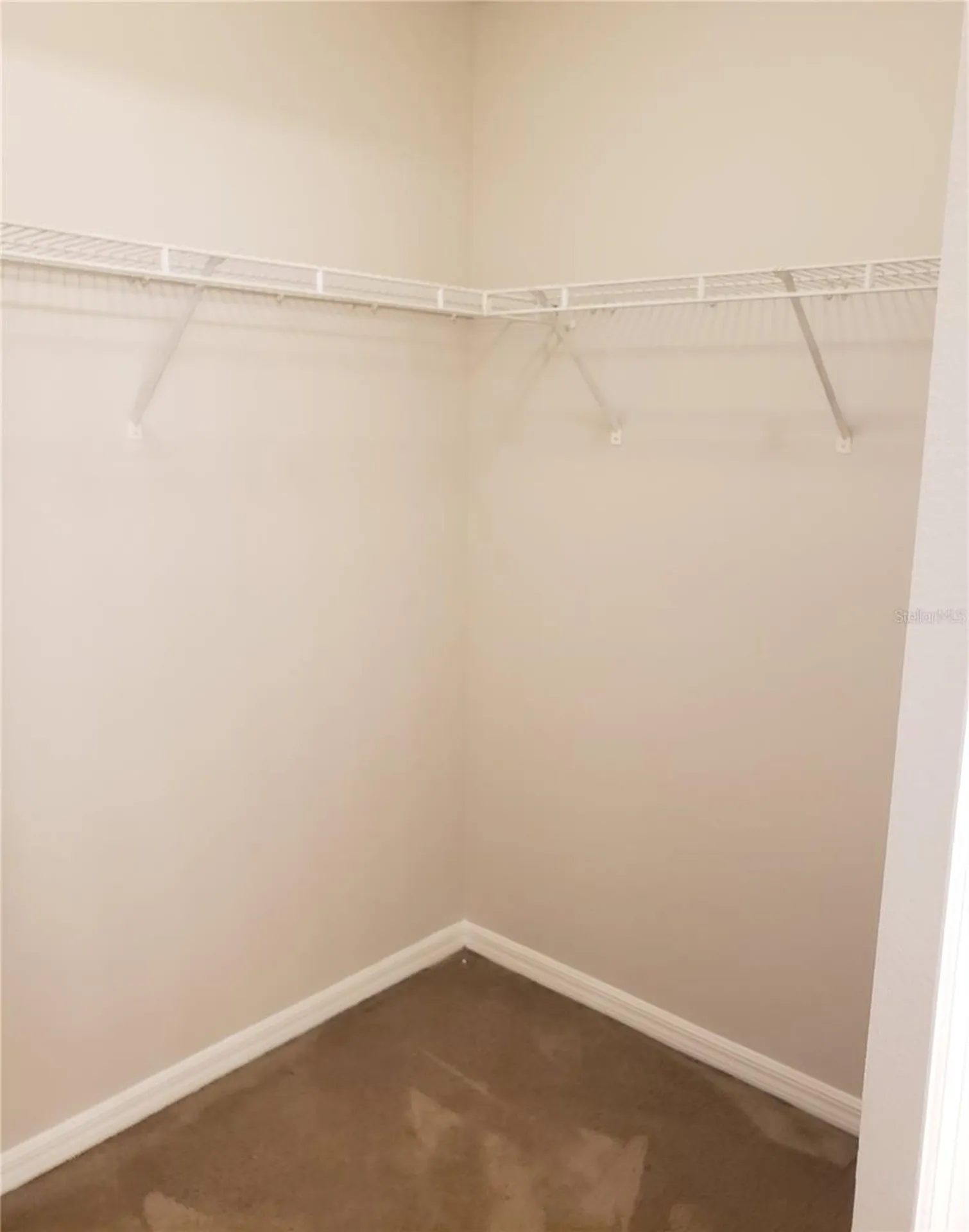 15114 Deer Meadow Drive Lutz FL 33559