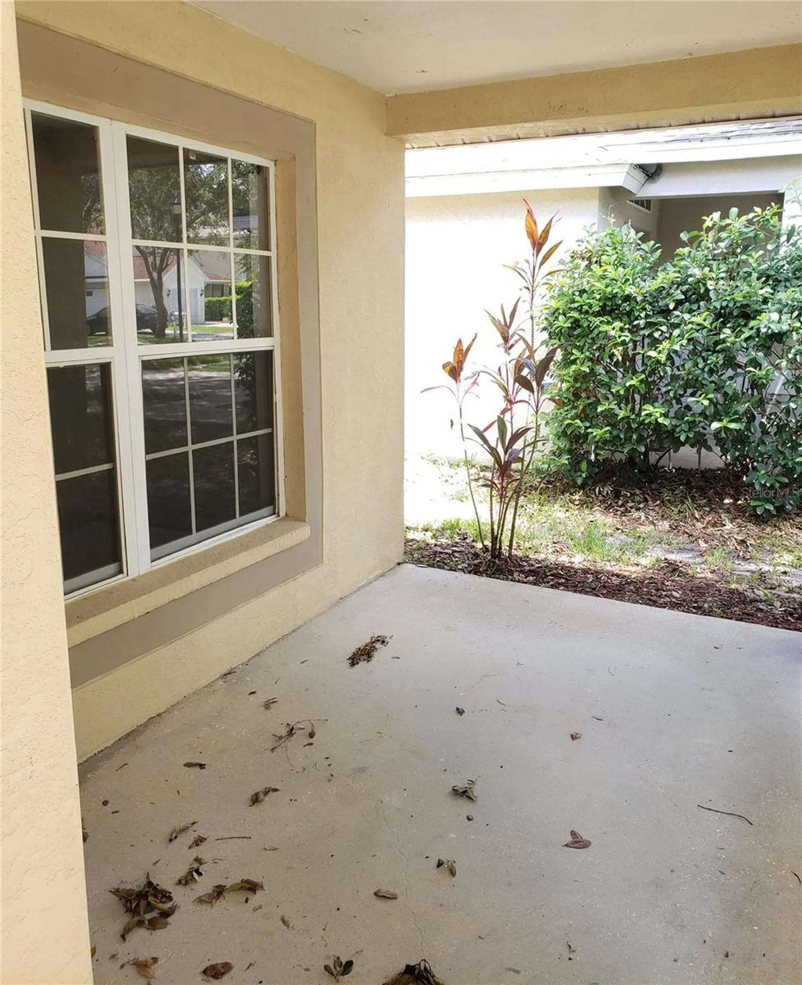 15114 Deer Meadow Drive Lutz FL 33559
